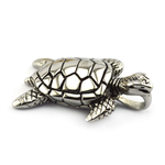 The sea turtle pendant